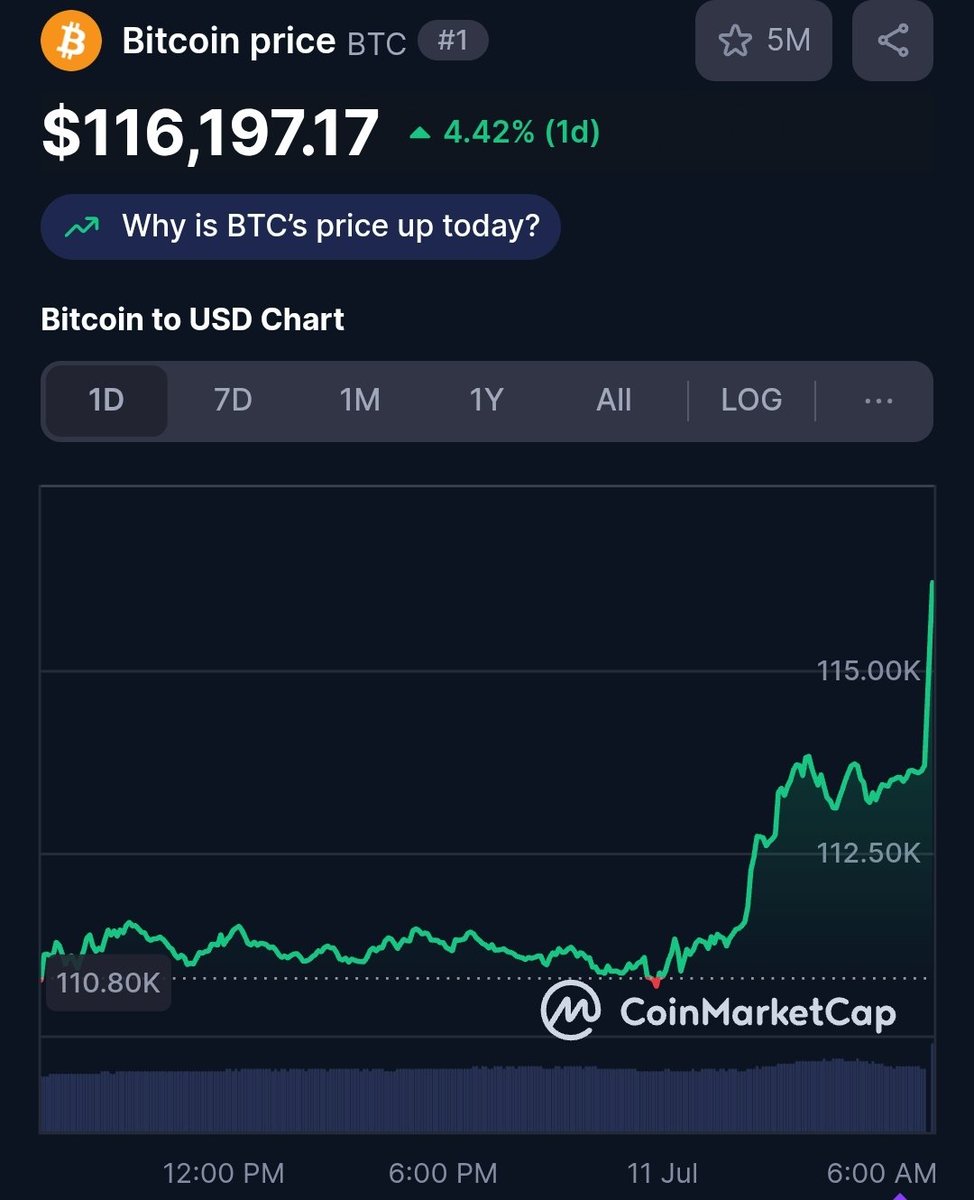GAME ON 🚀