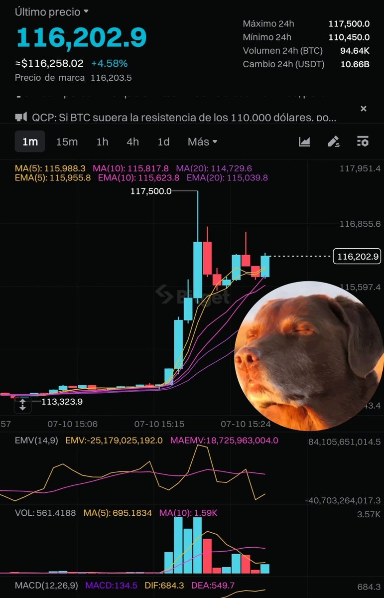 Theopenacademy2's tweet image. $BITCOIN
This is how I felt about BITCOIN&apos;s new all-time high #BITCOIN