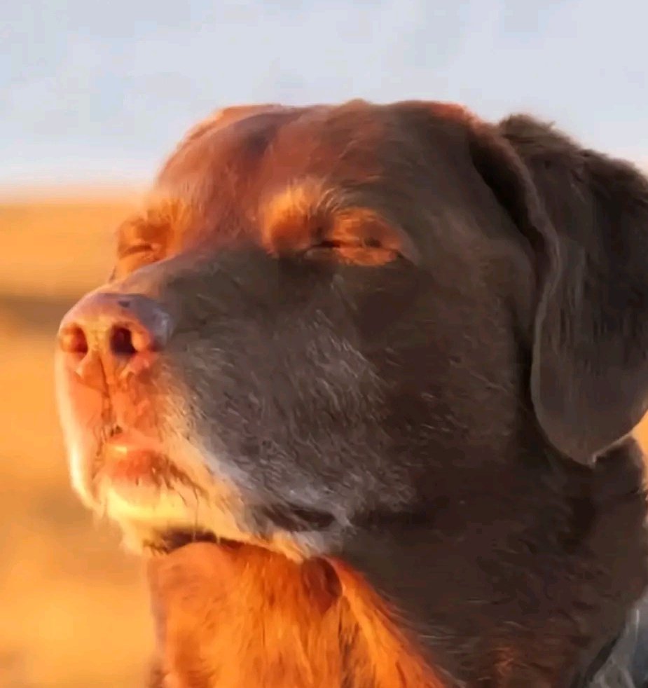 Theopenacademy2's tweet image. $BITCOIN
This is how I felt about BITCOIN&apos;s new all-time high #BITCOIN