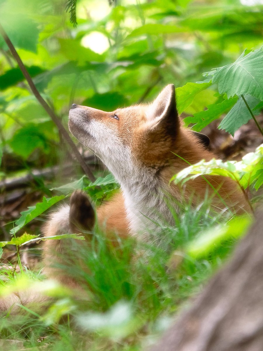 きょうも しあわせ𖤣𖥧𖥣𖡡𖥧𖤣
ほっかいどうのそらのした