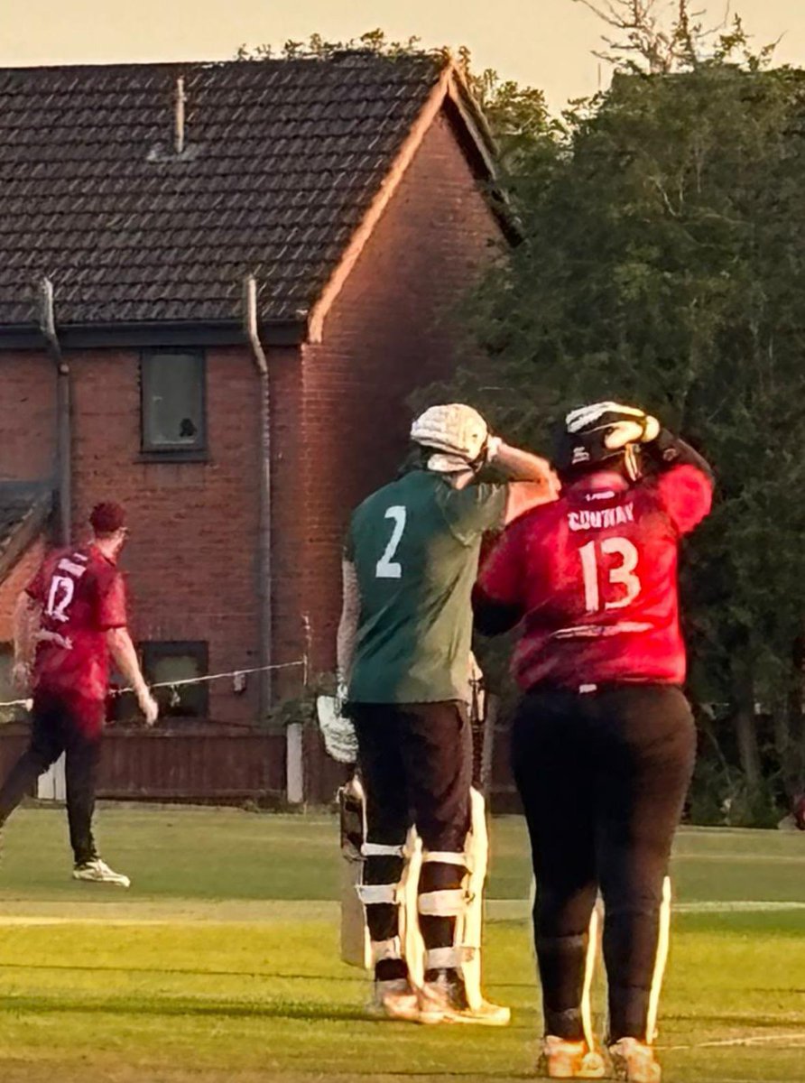 Newton Cricket Club tweet media