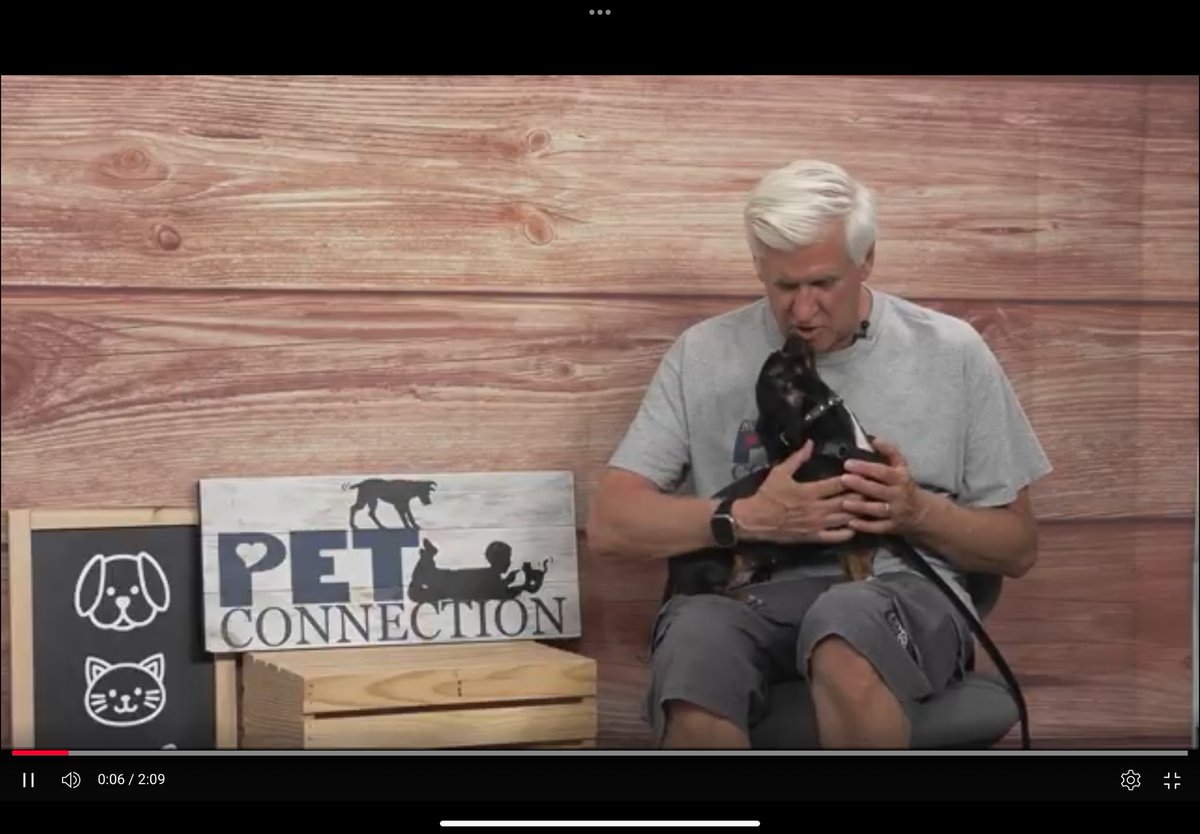 This is a wonderful little girl.  She is so happy and still a puppy.
She still has some learning to do, but with a little help from you she will be perfect.  Meet “Poppy”

youtu.be/MXl7_WPcOSk