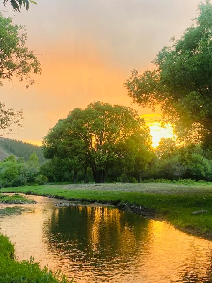 Өглөөний мэнд ээ.