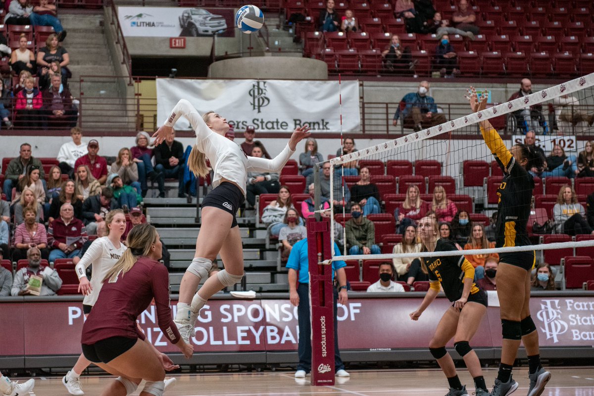 UMGRIZZLIES's tweet image. .@MontanaGrizVB has won 10+ matches each of the past four seasons, the program’s best four-year stretch since 2008-11! #GoGriz