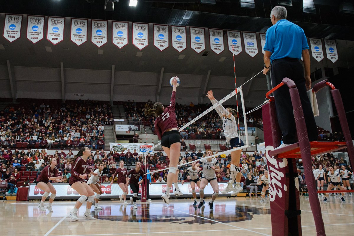 UMGRIZZLIES's tweet image. .@MontanaGrizVB has won 10+ matches each of the past four seasons, the program’s best four-year stretch since 2008-11! #GoGriz