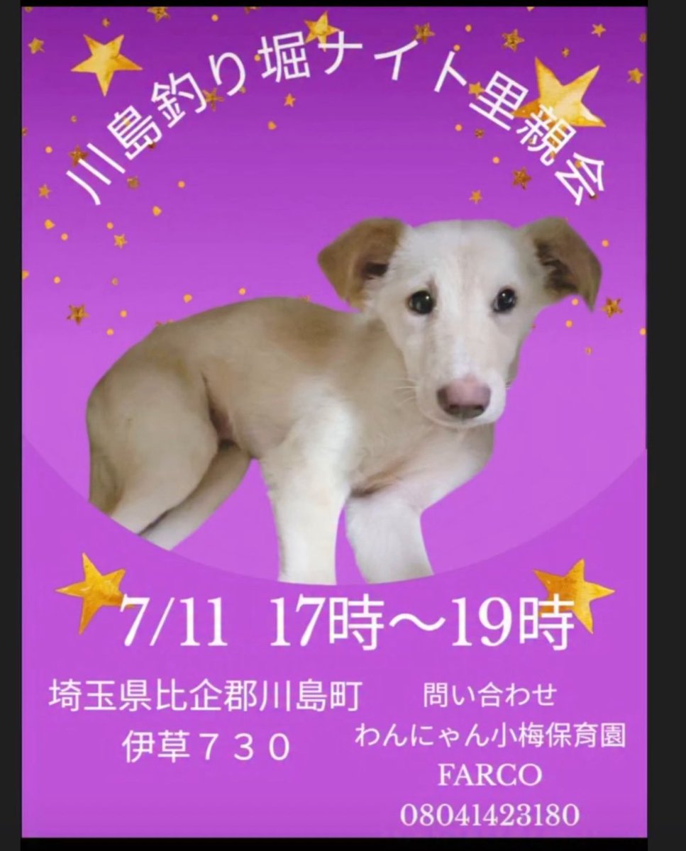 埼玉県にて★7月11日（金）保護犬里親会のお知らせ★ご予約不要！

皆様のお越しをお待ちしております♪

お問い合わせ先
little-quu@nifty.com
08041423180
わんにゃん小梅保育園ＦＡＲＣＯ