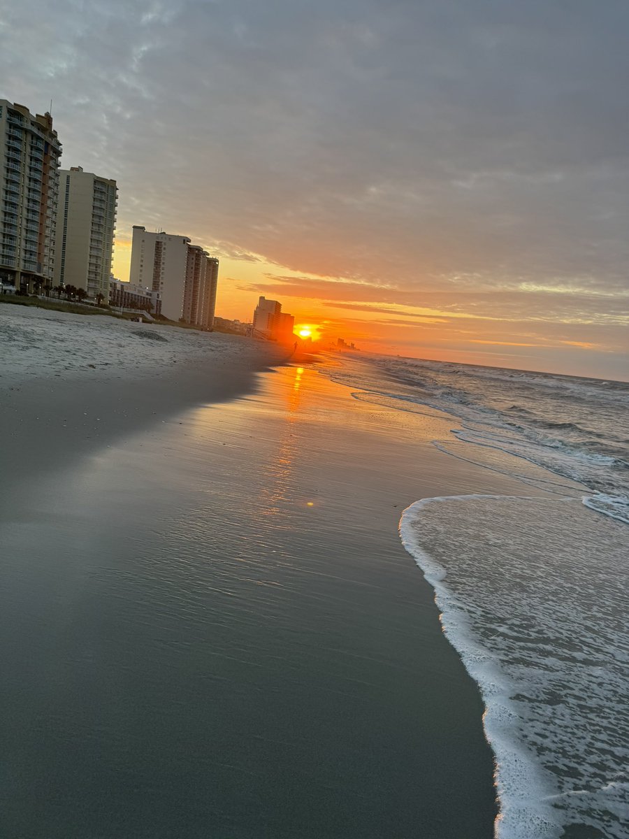 Blontzy's tweet photo. Absolutely stunning in South Carolina 🥰 https://t.co/rnOUc9Hoy6