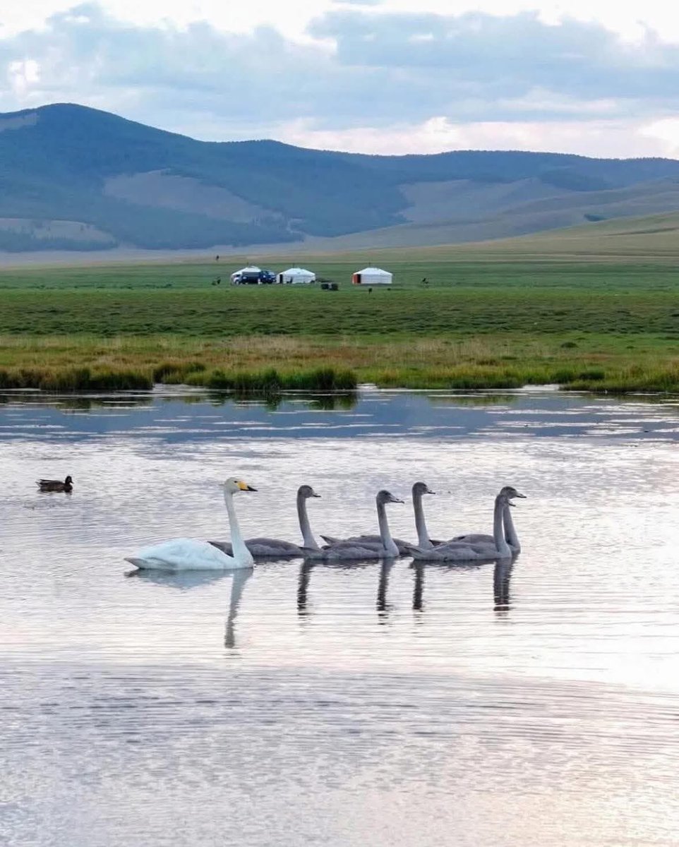 Өглөөний мэнд