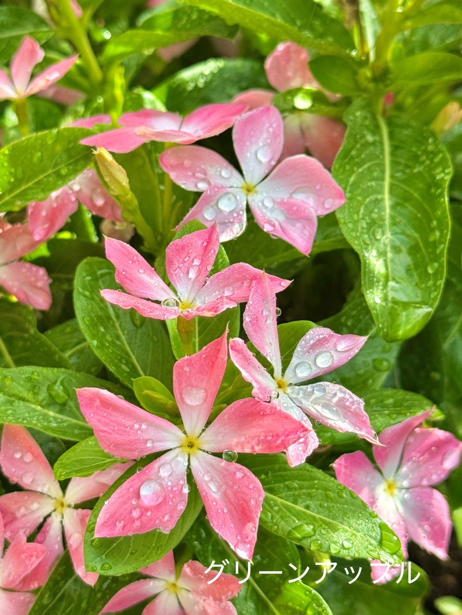 綠意家園 讓每一份愛成為幸福的開始.tiq