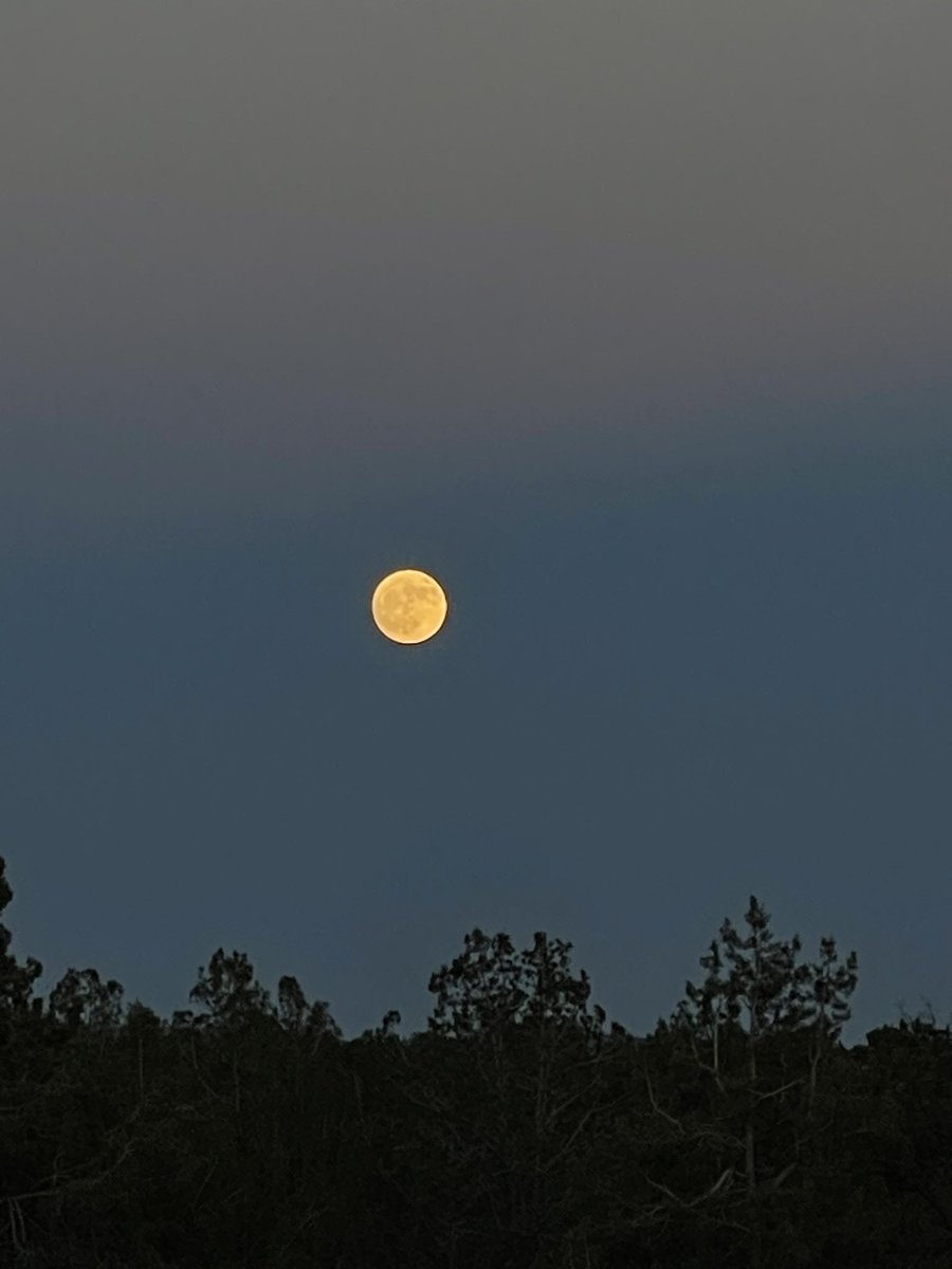 ValooDC's tweet image. Ayer viendo la luna mi novia me dice que si puedo tocarle su canción favorita en piano mientras ella admiraba la luna y yo tocaba de fondo. Demasiado mágico 🌕✨