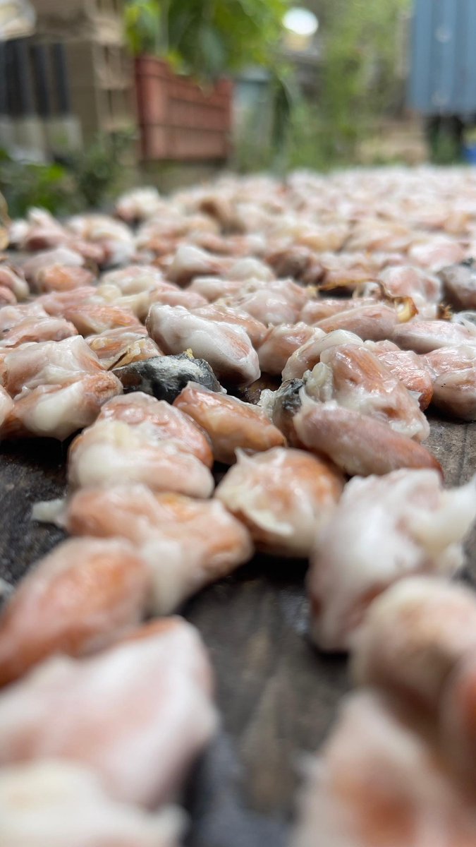 ¡¡¡¡Cacao Lovers !!!! Here Choco Vbrs ⌐◨-◨🍫▀▄▀ vrbs.build/vrbs/dao/draft…

<a href="/VrbsDAO/">Vrbs ▀▄▀</a> 
<a href="/rocketman_w/">rocketman</a>