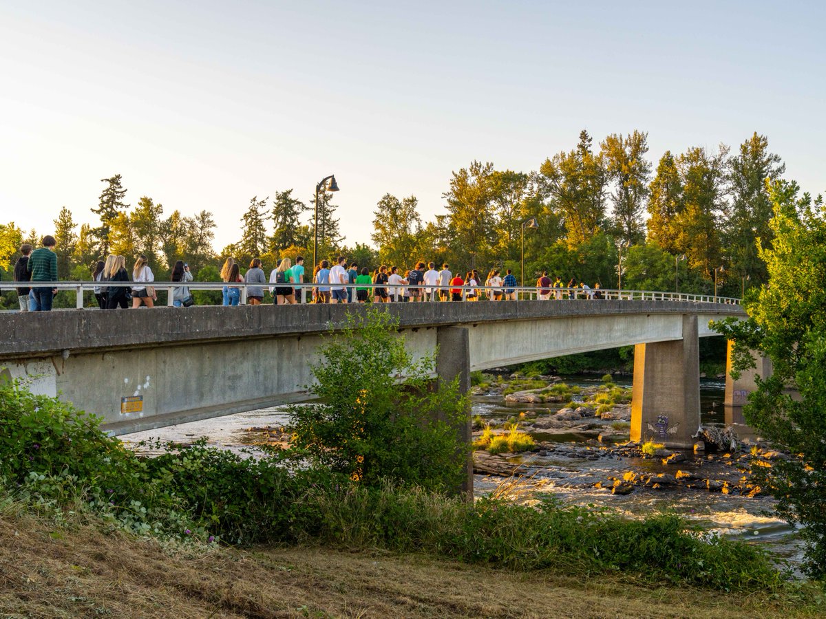 A timeless walk. 💚💛