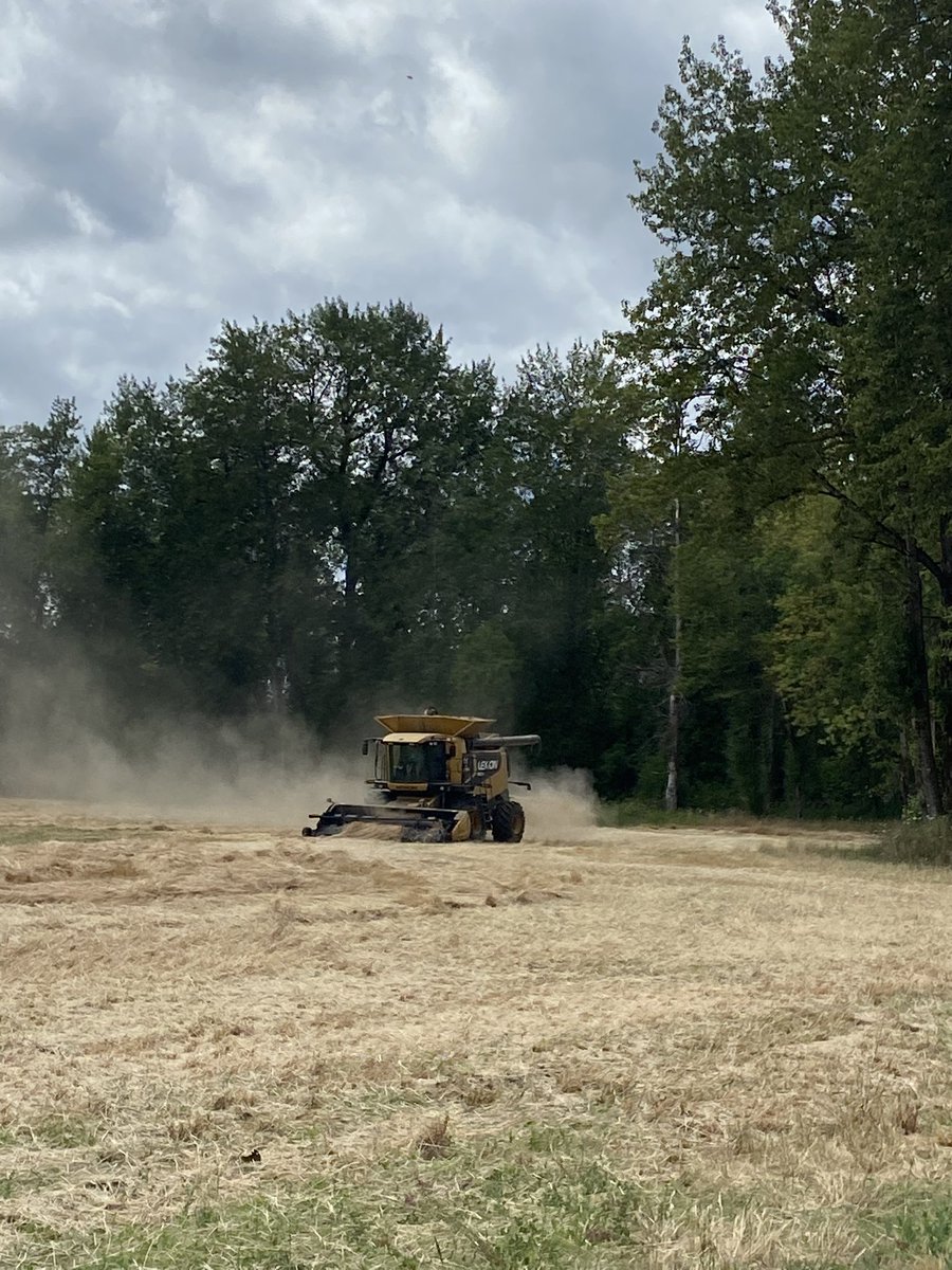 danthecornguy's tweet image. #harvest25 has started!