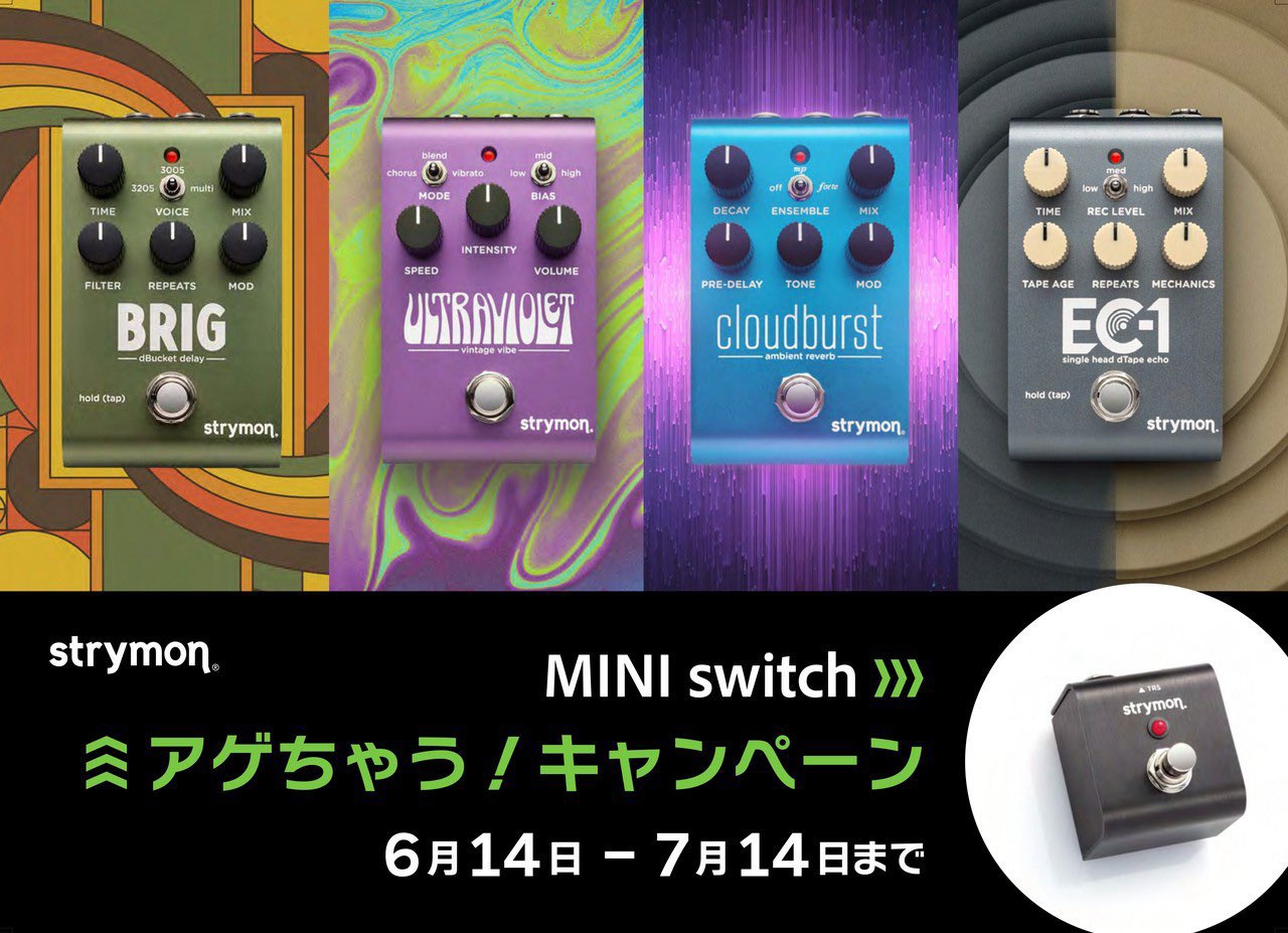 Guyatone ENSMBLE MG-100 エコーチェンバー KASTAM ELECTRONICS ECHO CHAMBER Concert SS-100 S/N 10145