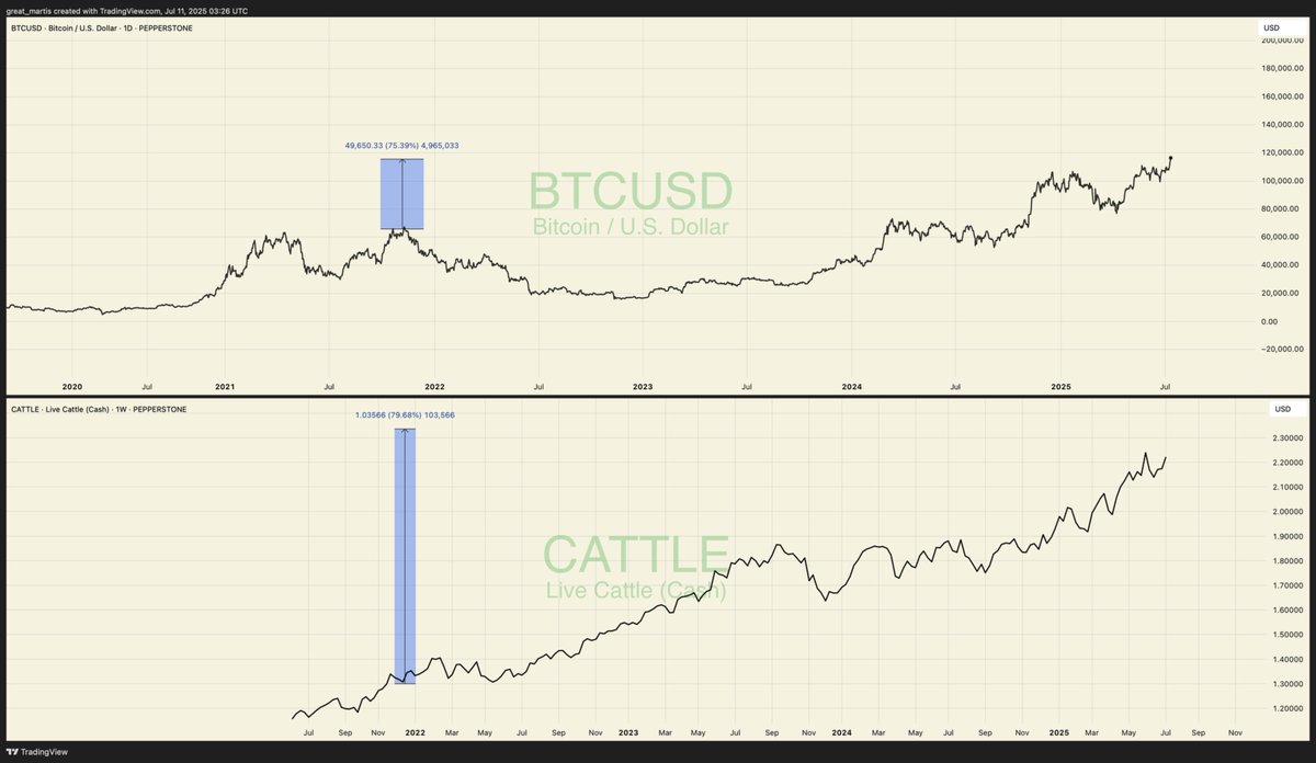 Live cattle has outperformed Bitcoin over the same period shown below, yet Bitcoin degenerates  will claim it's the best thing since sliced bread.😂

Wont be long.