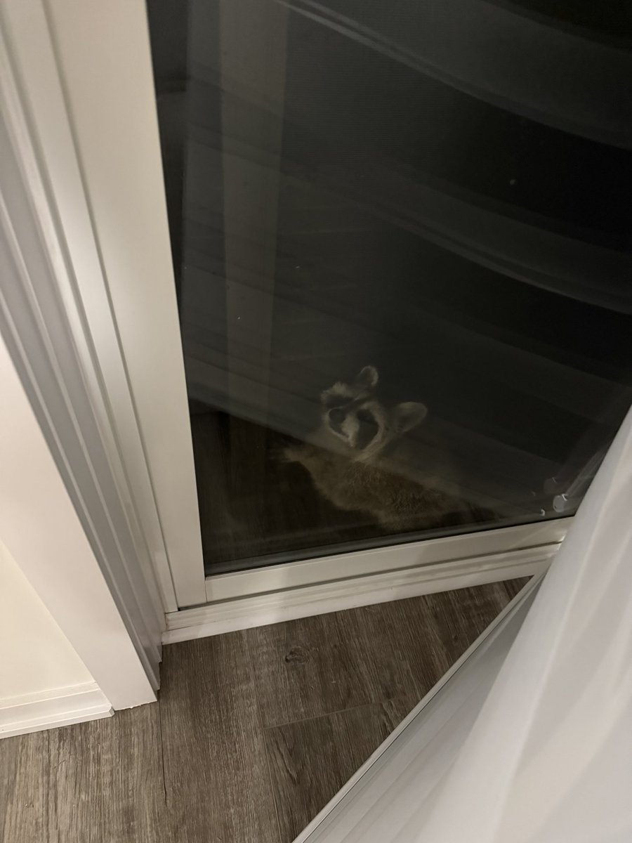 two very cute but pesky raccoons had a party on our deck last night and as much as I’d love to be a host, don’t want them all over my deck does anyone know how to naturally repel raccoons!
