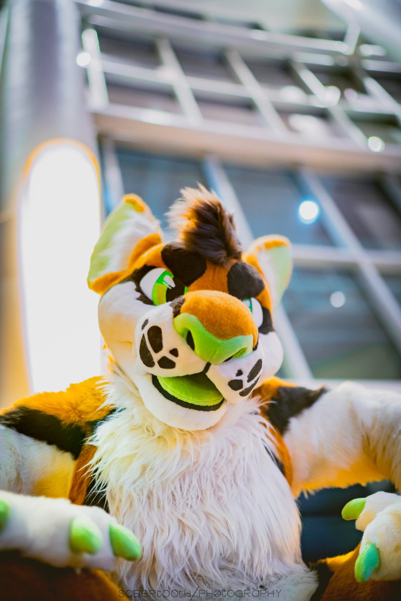 TenTailedWolf's tweet image. Miss me? π
πͺ‘: @Multicolorbark
πΈ: @vsabertoothv
#FursuitFriday