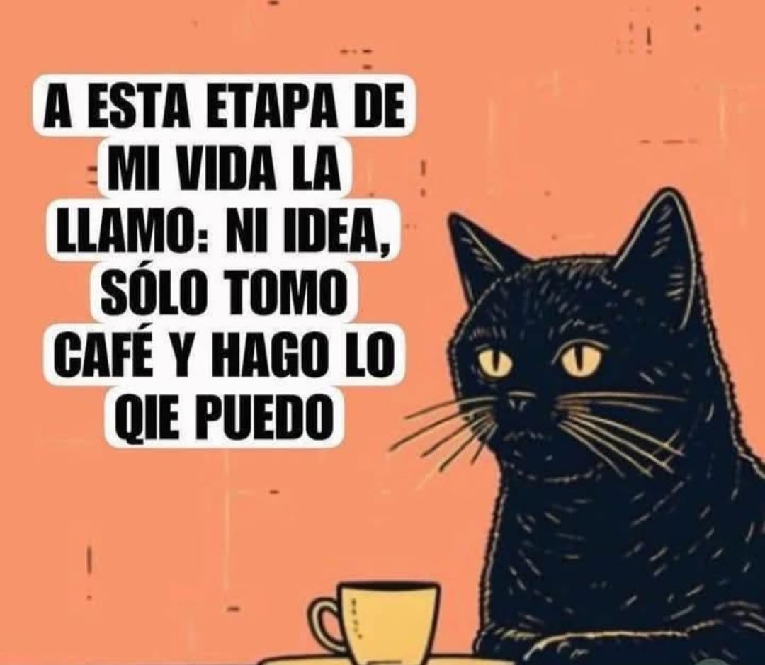 DonMemazos (@donmemazos) on Twitter photo 