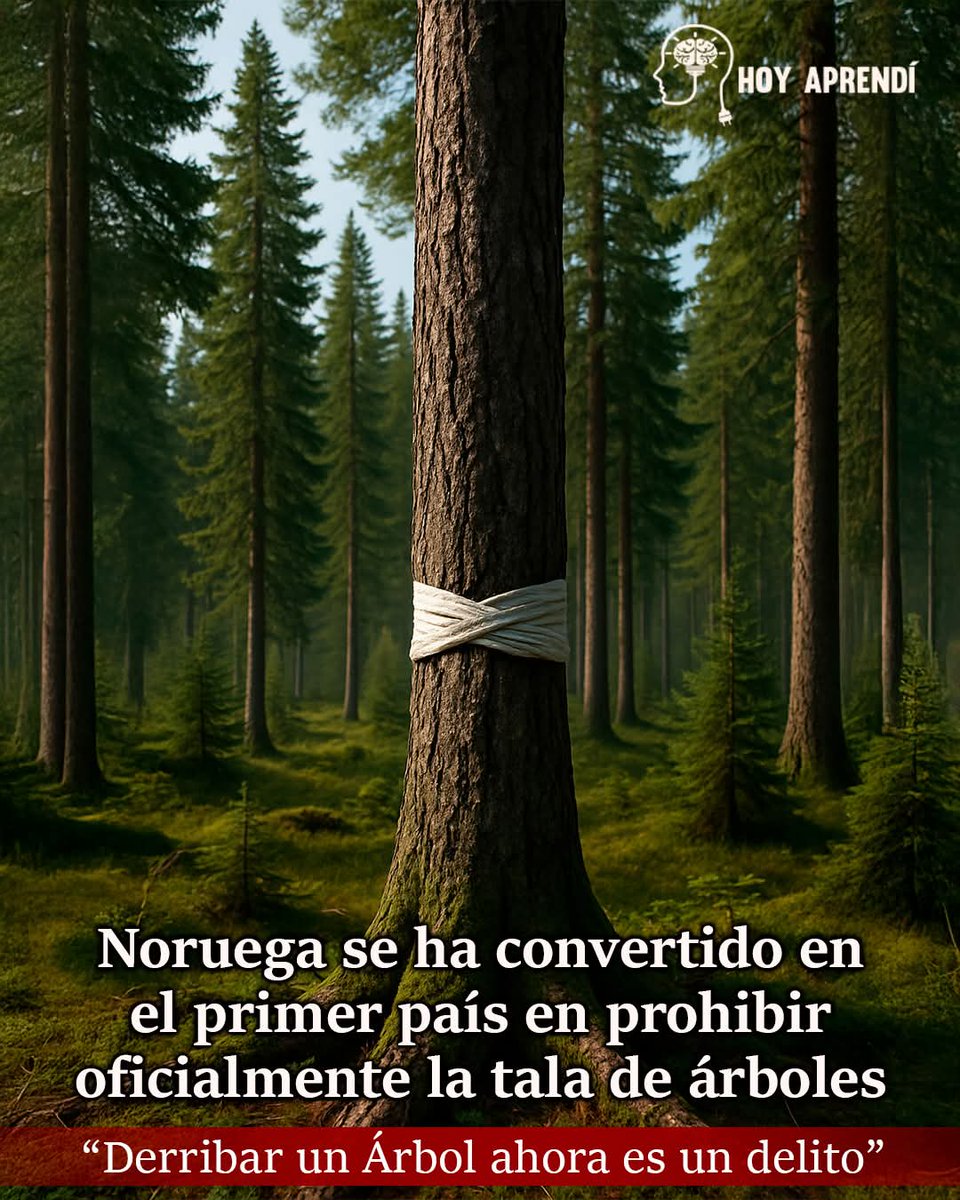 Tenemos mucho que aprender!
<a href="/MiAmbientePma/">Ministerio de Ambiente de Panamá</a>
<a href="/juancanavarro/">Juan Carlos Navarro</a>