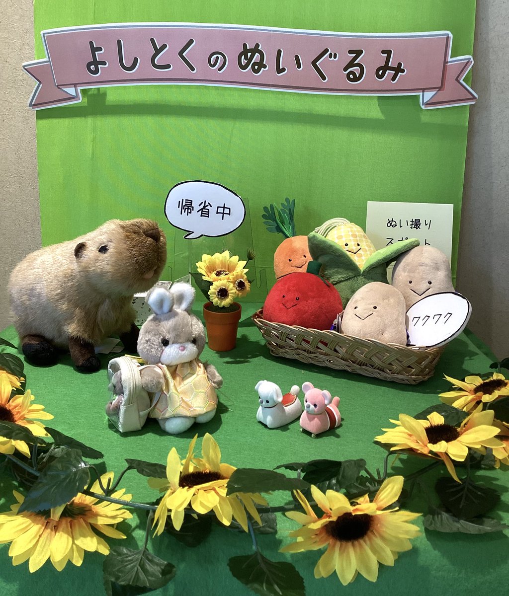 ystk_official's tweet image. 【浅草橋本店】
夏らしいぬい撮りスポットができました🌻
ぜひお気に入りのぬいちゃんたちを連れて遊びにいらしてください👒
みずみずしいお野菜たちもお待ちしています🍅🌽🥕🥔✨

営業時間9:30〜17:15

＃吉徳　#浅草橋　#吉徳浅草橋本店　#ぬいぐるみ　#ぬい活　＃ぬい撮り　#ぬいぐるみは家族　#夏