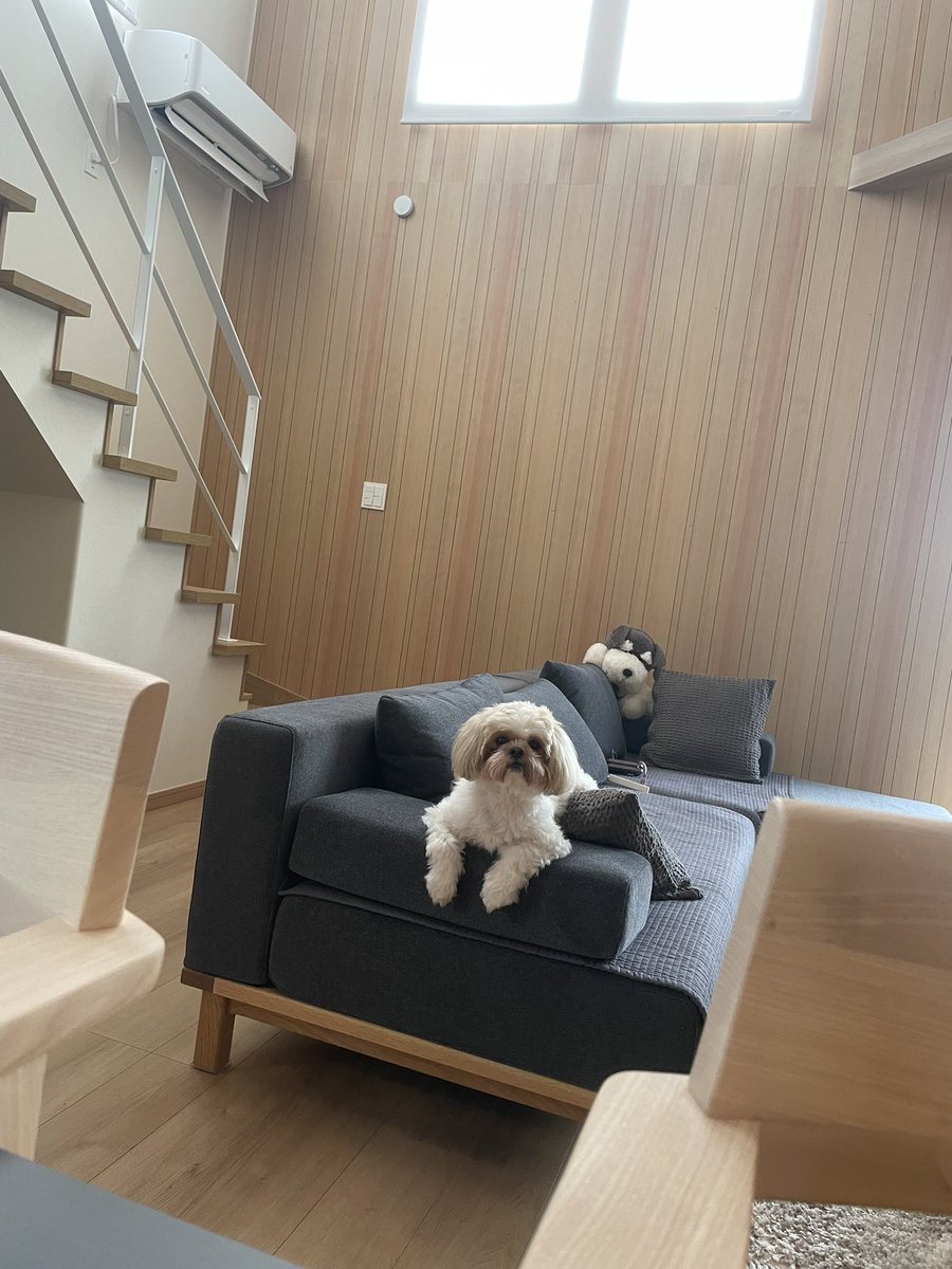 aba_mugi's tweet image. 仕事中のママもずっと監視しちゃう👀