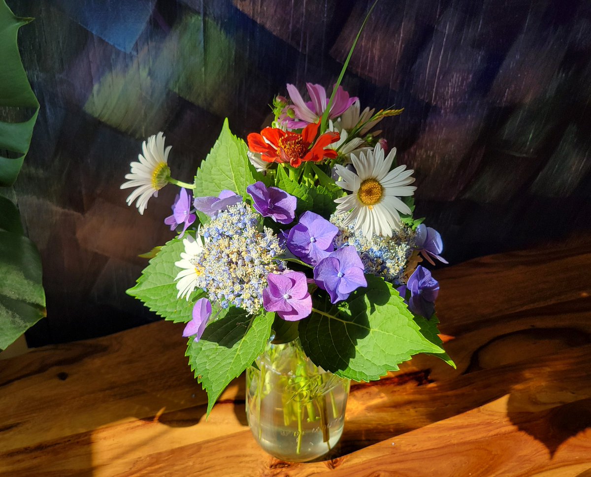 junemarie's tweet image. take all the pictures you want but it's just practice until the light hits
