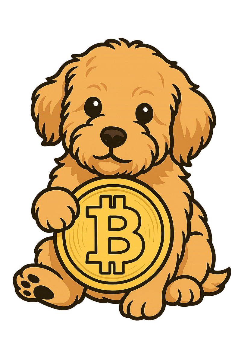 Bri tweet media