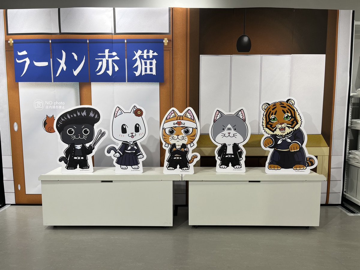 元祖なめ猫公式アカウント (@reiwa_nameneko) / X