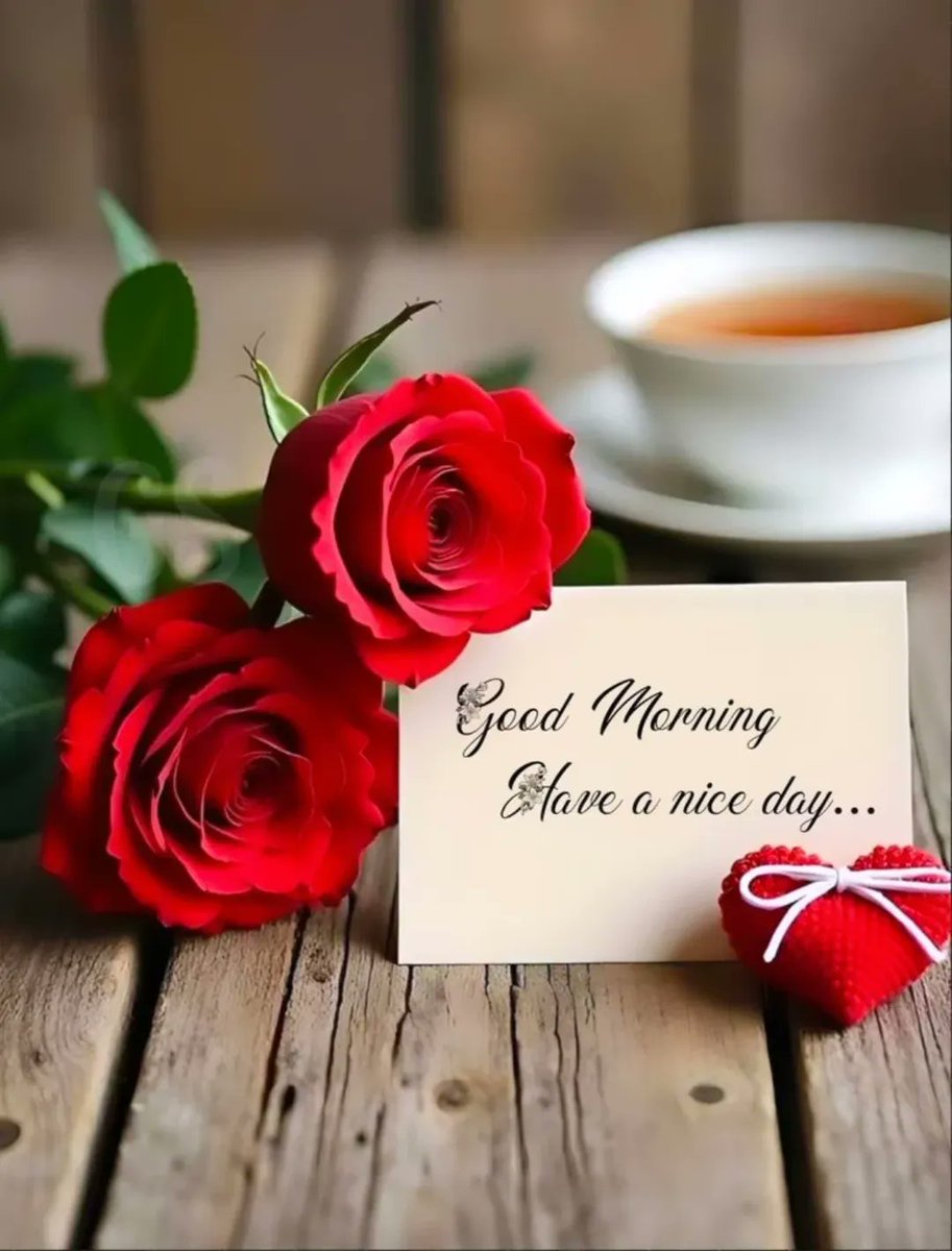 itsjaycee69's tweet image. Hello 👋
