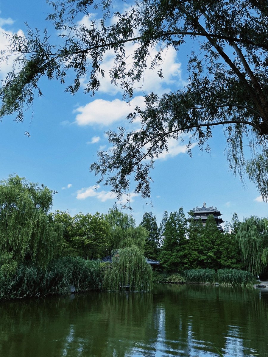 output boschvark tearing
Sometimes all you need is a quiet place and a beautiful view to feel alive again.