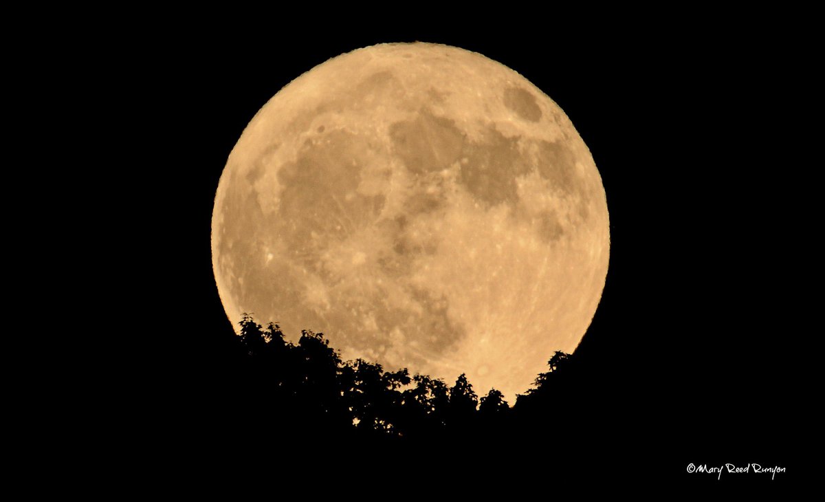 MaryReedRunyon1's tweet image. #FullMoon #buckmoon @WYMT @brobwx @WSAZBrandon @SpencerWeather @cjwxguy56 @Kentuckyweather @spann @JimCantore @JimWKYT @jloganwxguy @weatherchannel #kywx #sekywx #ekywx #moon