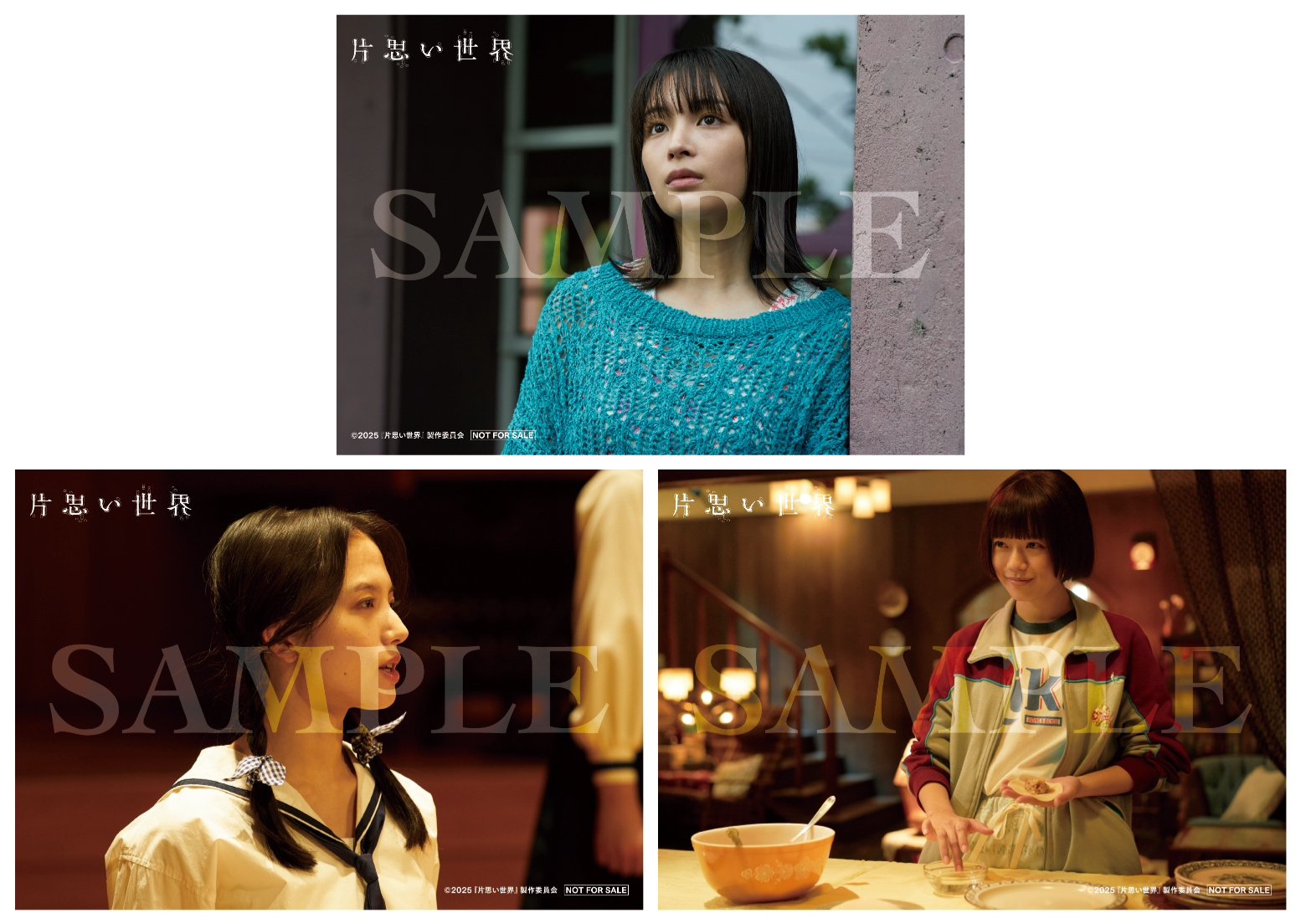 ★映画『片思い世界』★オフィシャルブック シナリオ＆写真集発売POP全６点セット ☆映画『片思い世界』☆オフィシャルブック シナリオ＆写真集