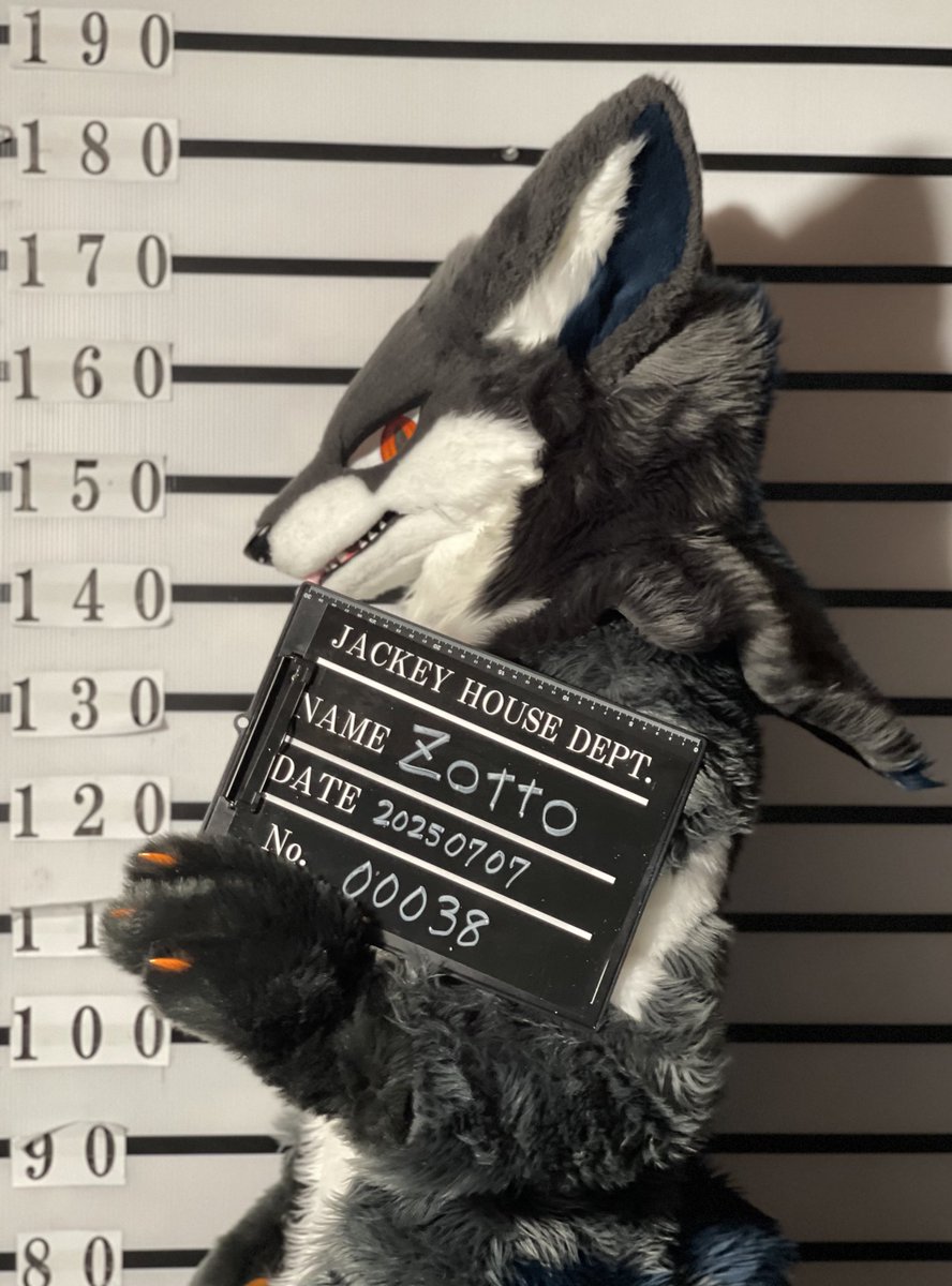 #FursuitFriday

I messed up!