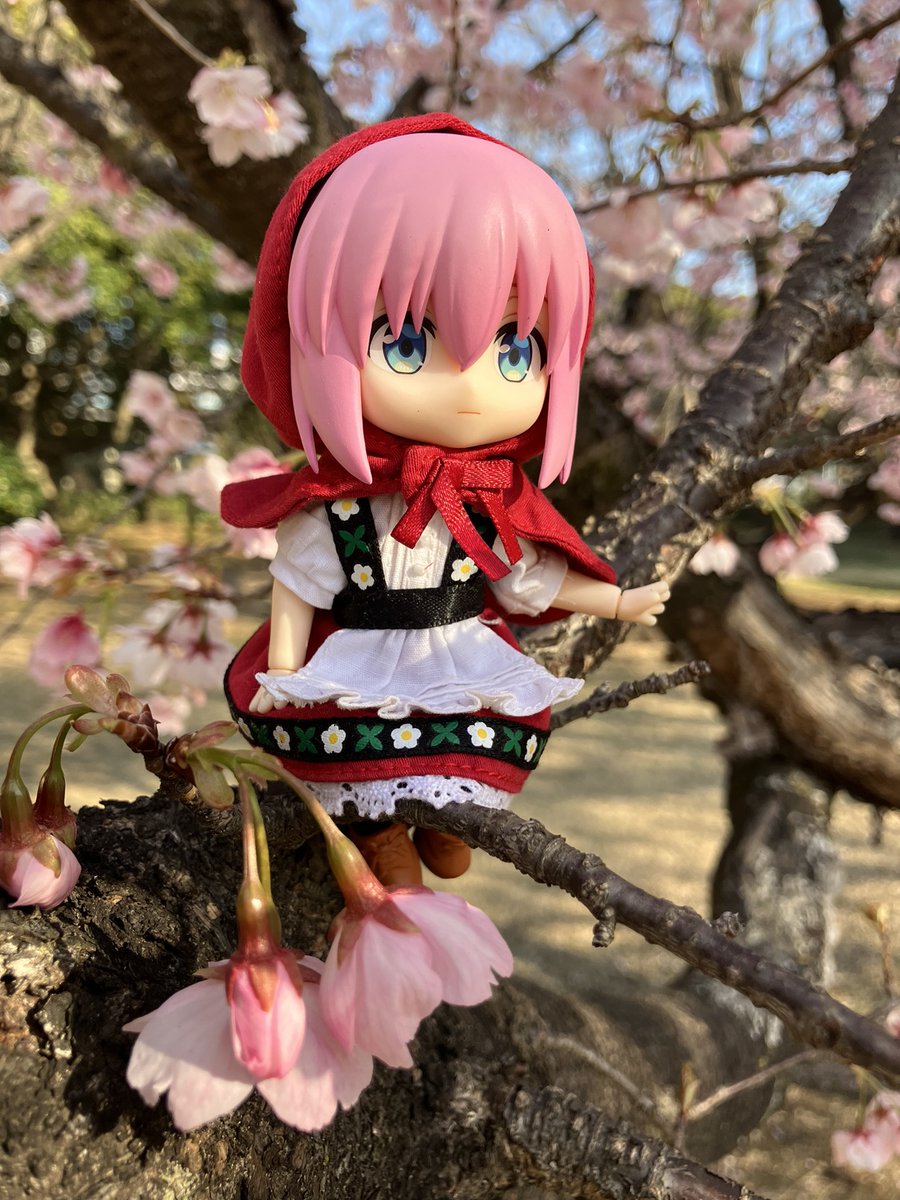 #これを見た人は何かピンクいものをあげる見た人強制