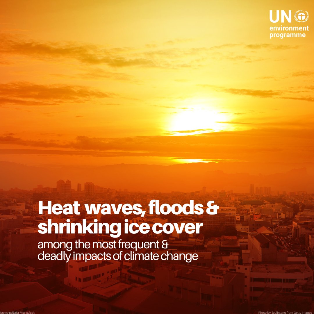 UNEP_AsiaPac's tweet image. 🔥 Heatwaves are surging—so are the risks.
@UNEP reports an 85% rise in heat-related deaths among adults 65+ since the 1990s.
🌍 Melting glaciers may revive ancient pathogens.
🌊 Floods could release toxic chemicals.
🔗Explore the findings: unep.org/news-and-stori…