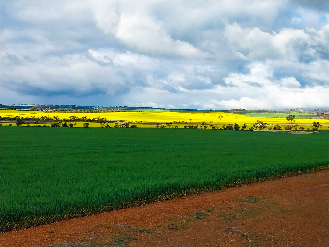 Origo.ag tweet media