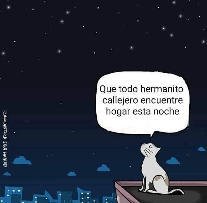 Amén.!. 😿🐾🙏✨💞