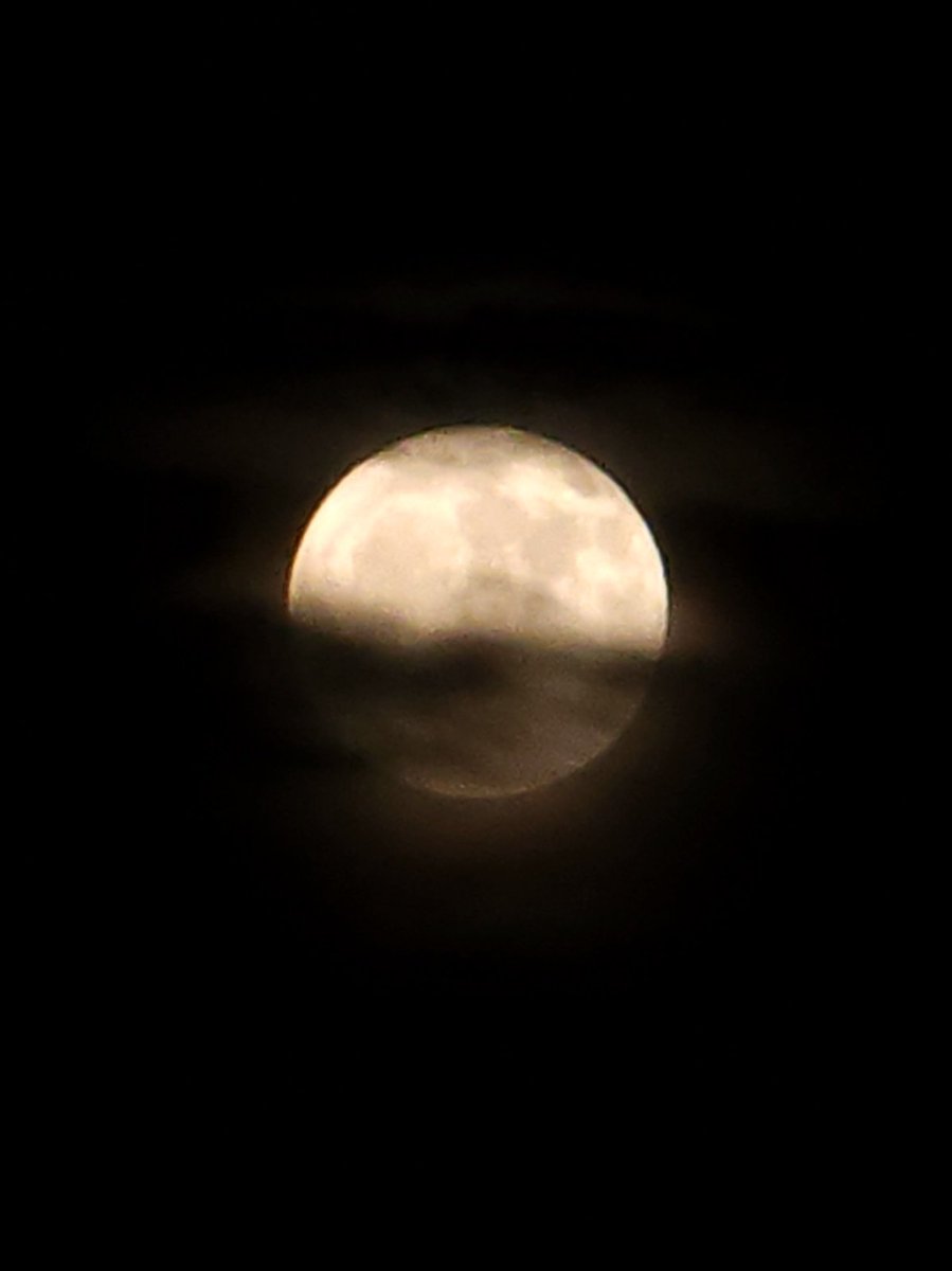 Just another photo of the moon
#fullmoon #Capricorn #buckmoon
