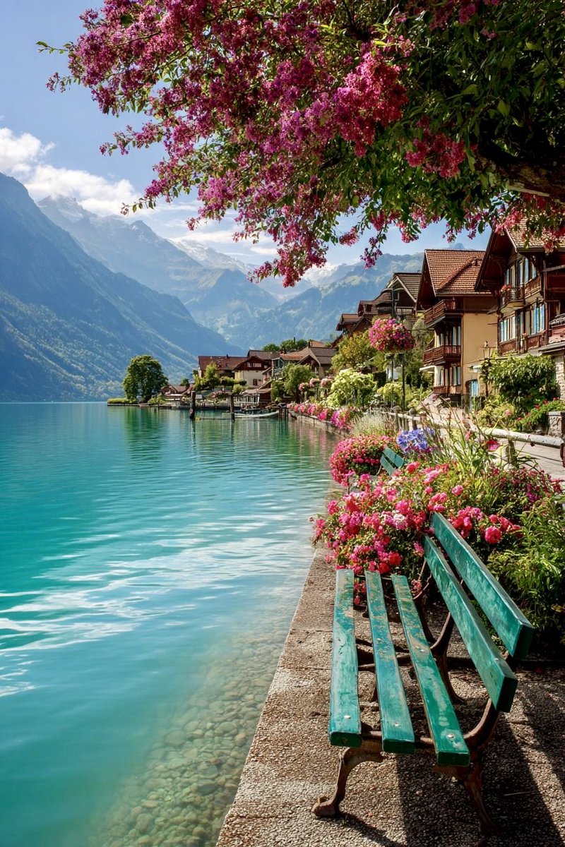 Good Morning 
Have a Nice Day 

(Switzerland,📷 Pinterest)