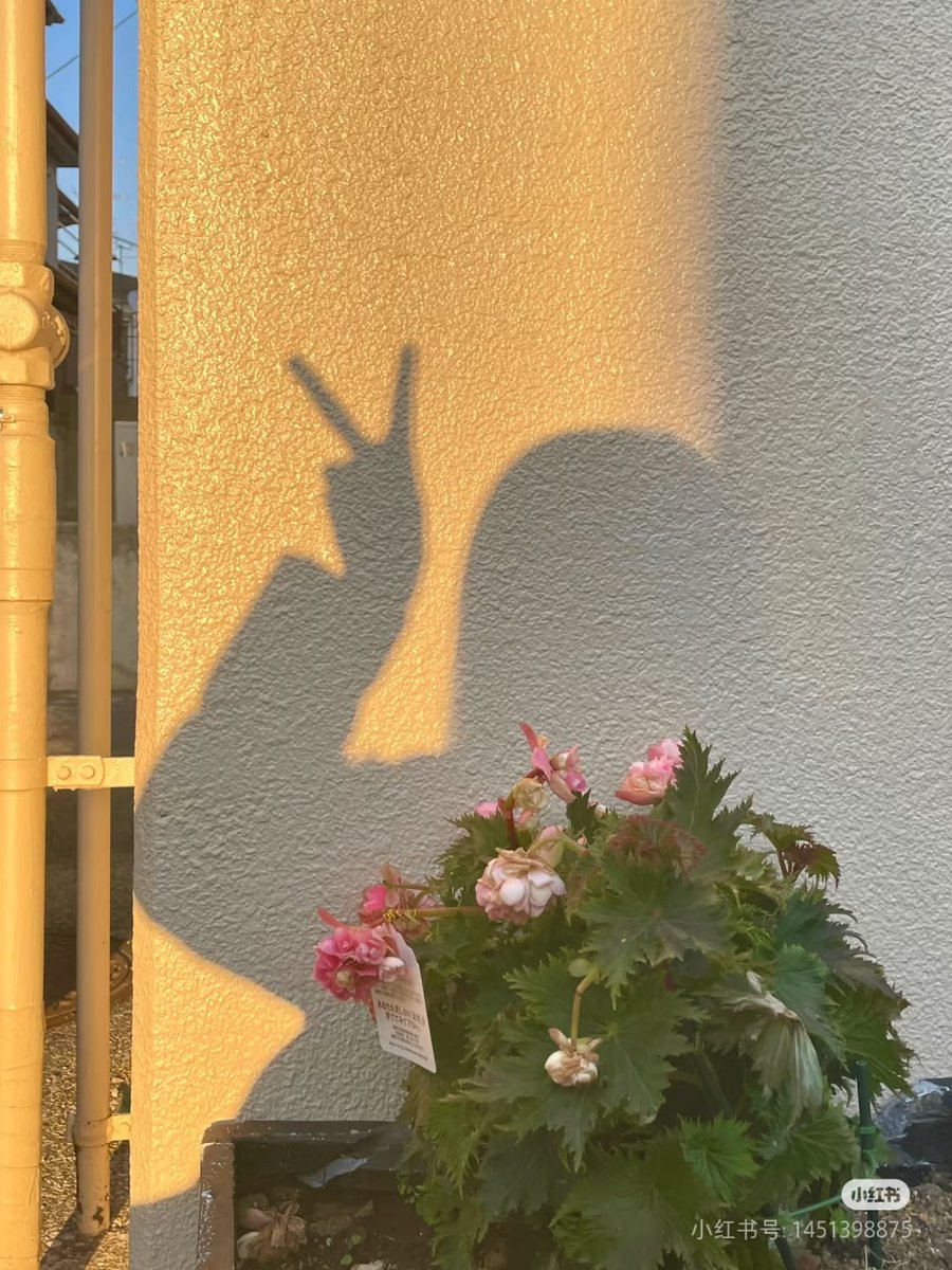 ——早安🌞
求关注，有关必回