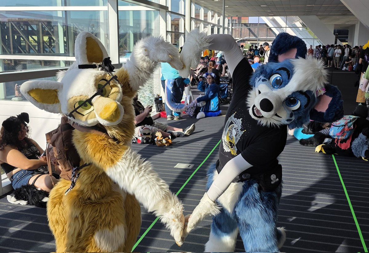 I yip yap yipped at a dog 🧡💙