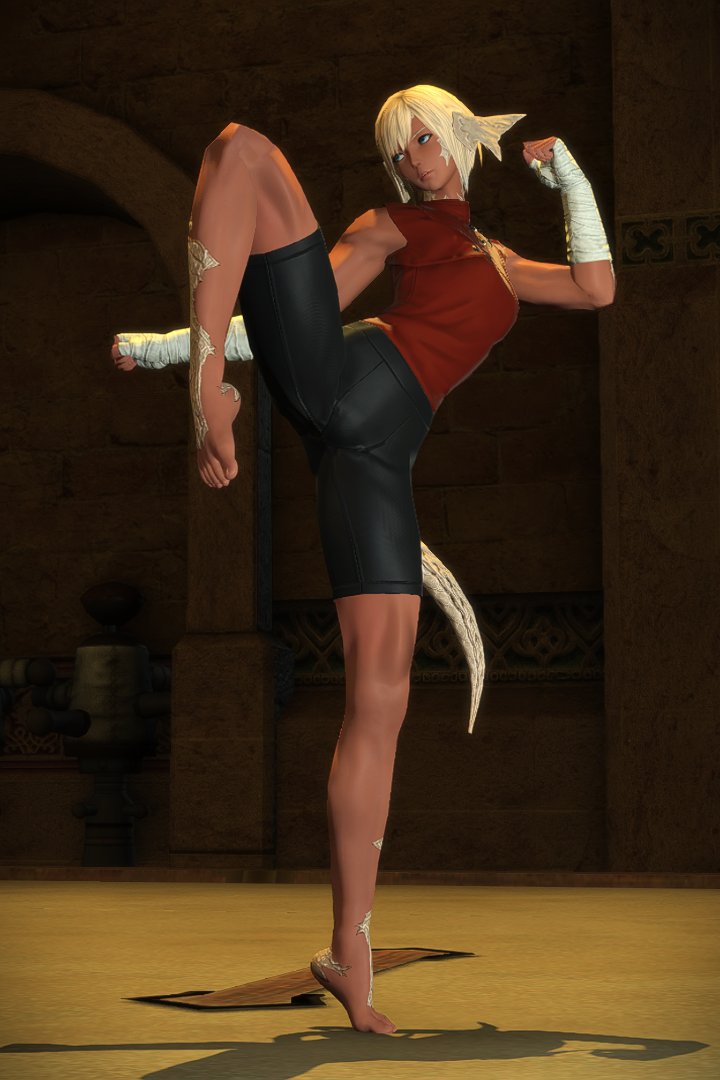 LazyPajama's tweet photo. Here comes a (not) new challenger!! #GPosers #FFXIV https://t.co/6P7F0UL85M