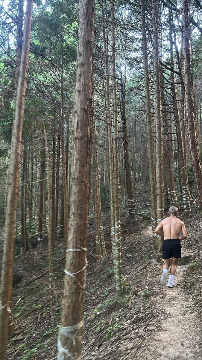 highup_yuya's tweet photo. 🌏🏃 https://t.co/qyQ578XriO
