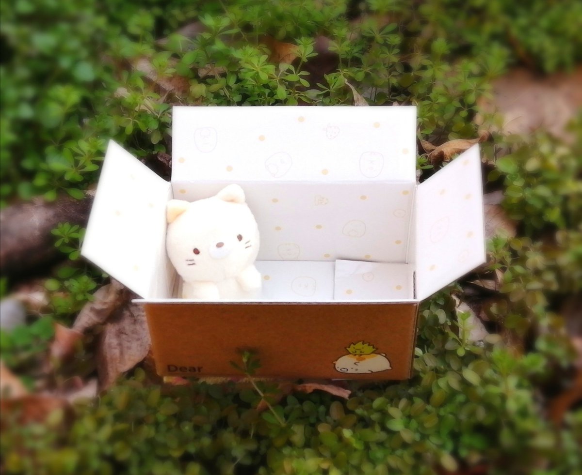 gFhvhN17oPD79PQ's tweet image. ←過去　　　　現在→