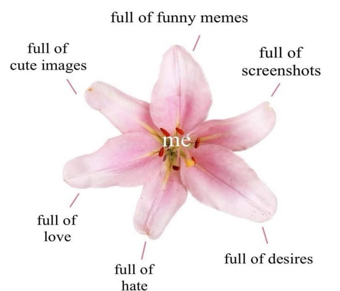 ✧ (@northstardoll) on Twitter photo 