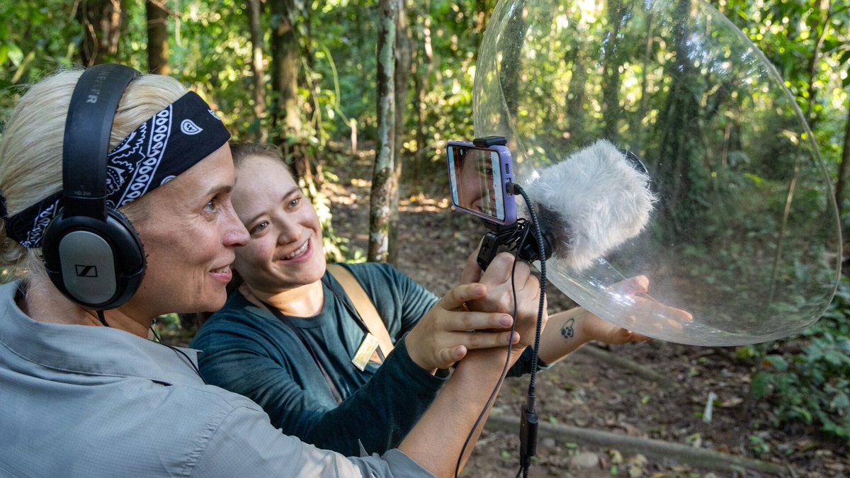 Our 8 Primates Project expands beyond Tambopata!
New recorders are now monitoring primates in the buffer zone, Bahuaja-Sonene National Park, and nearby community forests. 

Read the full story here ➡️hubs.ly/Q03wBq810