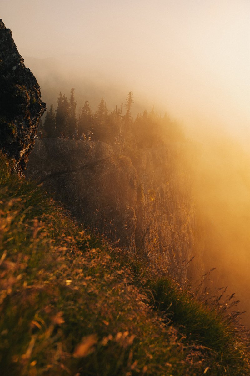 Feels so good to be back in the PNW 🌲