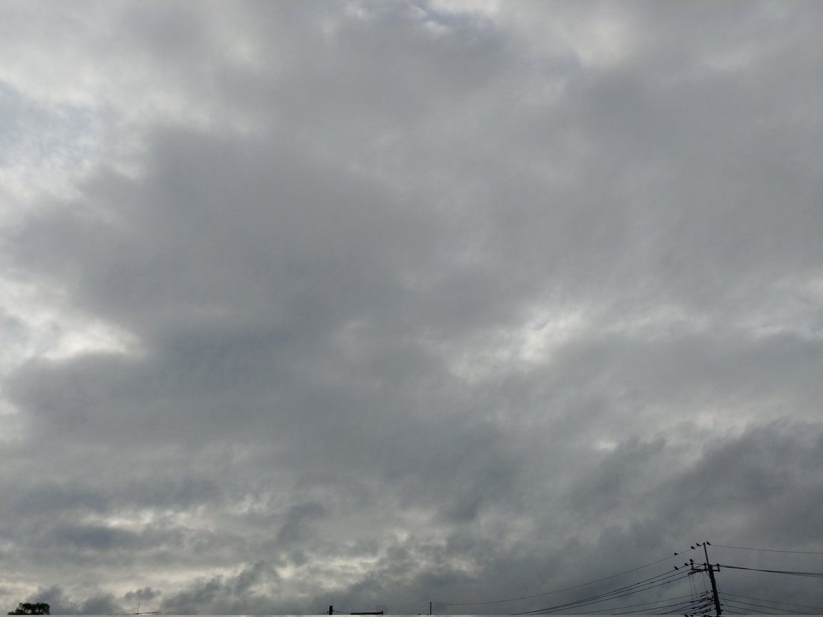 tompeko383912's tweet image. おはようございます☁️25.5℃
たまに日が差したりして少し過ごしやすいです
#イマソラ