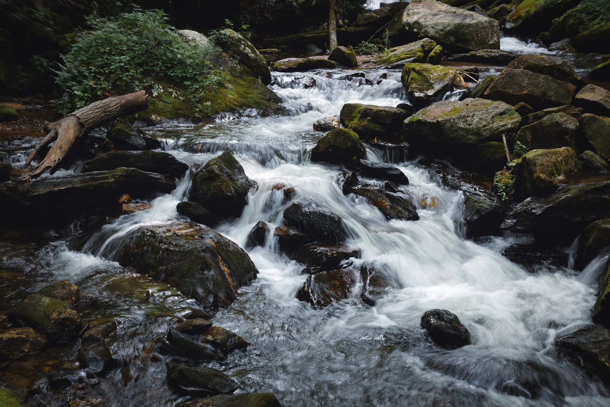 J_Reeves15's tweet image. Some photos I took in the upper corners of SC & GA today. My absolute favorite type of days