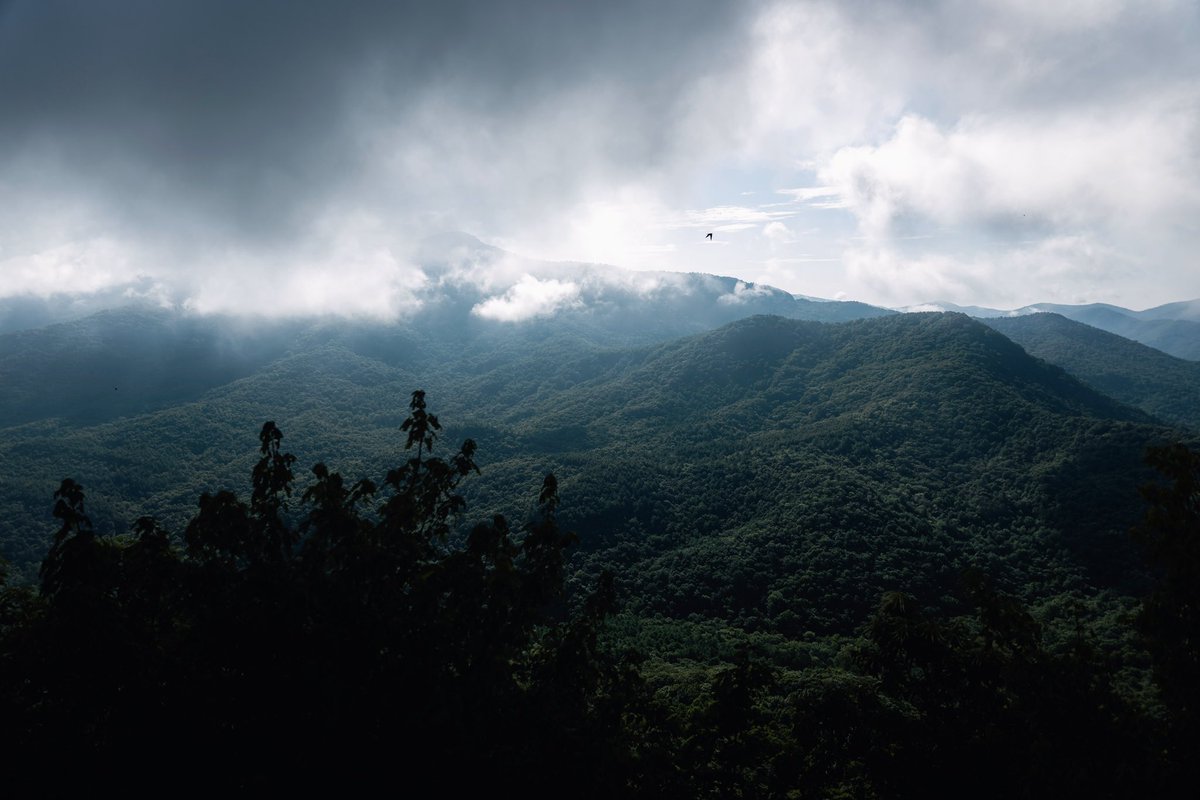 J_Reeves15's tweet image. Some photos I took in the upper corners of SC & GA today. My absolute favorite type of days